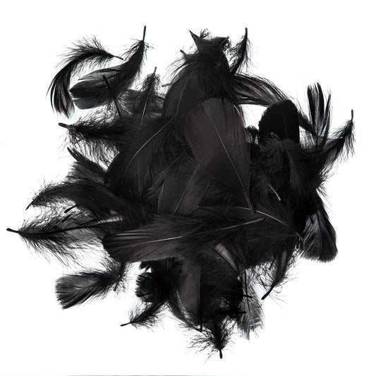 DpCraft Feathers - 5-12 cm 10 g black